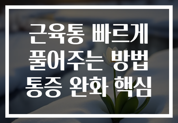 근육통 빠르게 풀어주는 방법 통증 완화 핵심 근육통 빠르게 풀어주는 방법 통증 완화 핵심