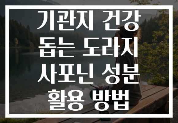 기관지 건강 돕는 도라지 사포닌 성분 활용 방법