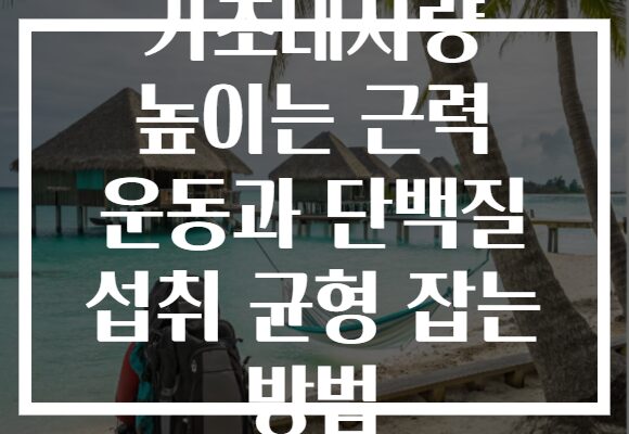 기초대사량 높이는 근력 운동과 단백질 섭취 균형 잡는 방법