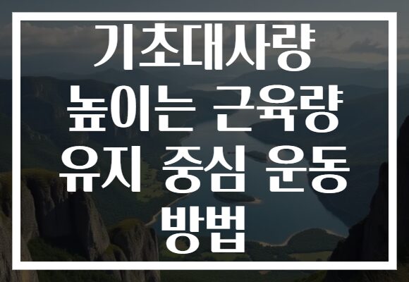 기초대사량 높이는 근육량 유지 중심 운동 방법 기초대사량 높이는 근육량 유지 중심 운동 방법
