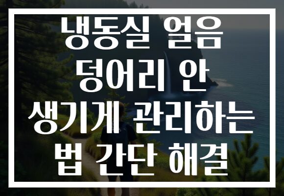 냉동실 얼음 덩어리 안 생기게 관리하는 법 간단 해결