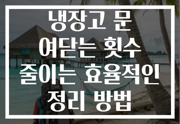 냉장고 문 여닫는 횟수 줄이는 효율적인 정리 방법 냉장고 문 여닫는 횟수 줄이는 효율적인 정리 방법