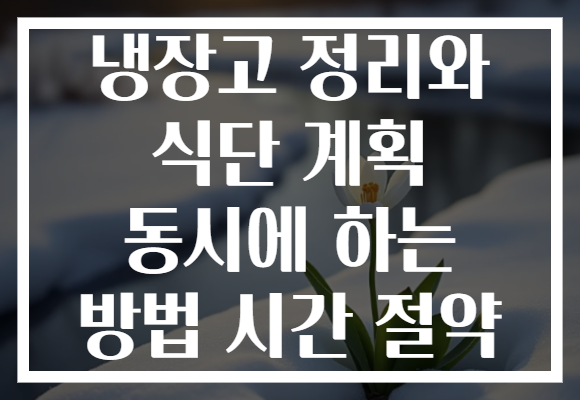 냉장고 정리와 식단 계획 동시에 하는 방법 시간 절약