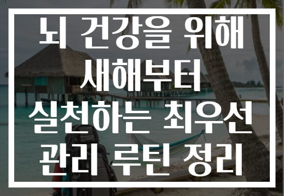 뇌 건강을 위해 새해부터 실천하는 최우선 관리 루틴 정리