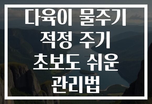다육이 물주기 적정 주기 초보도 쉬운 관리법