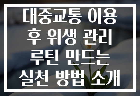 대중교통 이용 후 위생 관리 루틴 만드는 실천 방법 소개