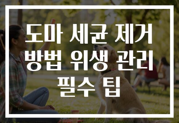 도마 세균 제거 방법 위생 관리 필수 팁