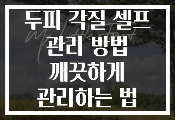 두피 각질 셀프 관리 방법 깨끗하게 관리하는 법
