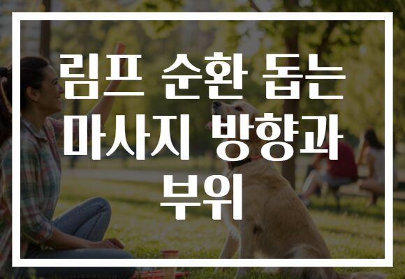 림프 순환 돕는 마사지 방향과 부위 림프 순환 돕는 마사지 방향과 부위