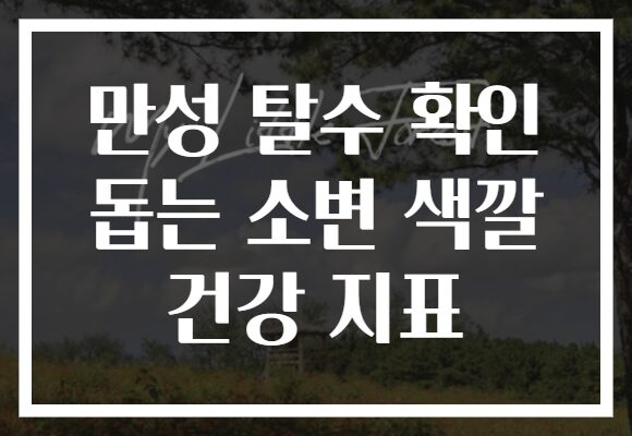 만성 탈수 확인 돕는 소변 색깔 건강 지표 만성 탈수 확인 돕는 소변 색깔 건강 지표
