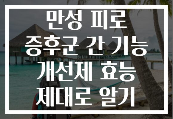 만성 피로 증후군 간 기능 개선제 효능 제대로 알기