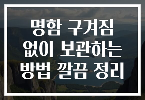 명함 구겨짐 없이 보관하는 방법 깔끔 정리