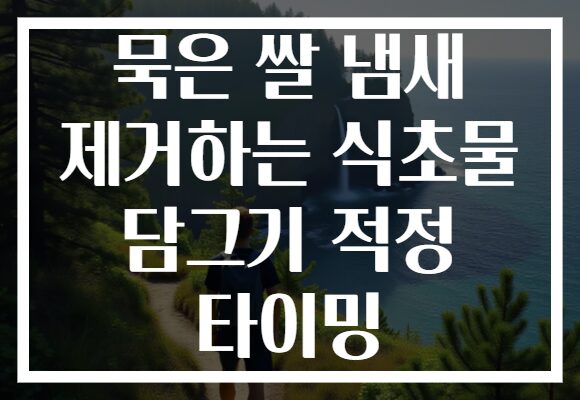 묵은 쌀 냄새 제거하는 식초물 담그기 적정 타이밍 묵은 쌀 냄새 제거하는 식초물 담그기 적정 타이밍