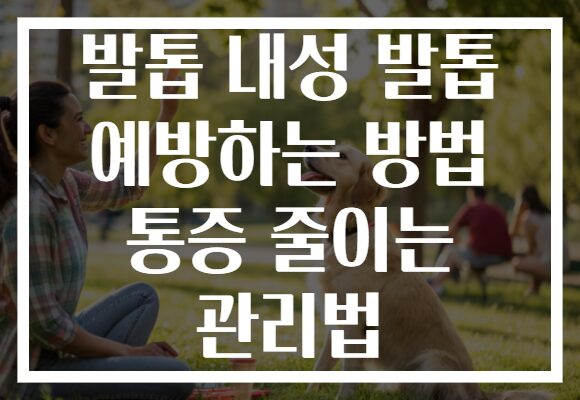 발톱 내성 발톱 예방하는 방법 통증 줄이는 관리법 발톱 내성 발톱 예방하는 방법 통증 줄이는 관리법