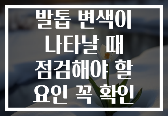 발톱 변색이 나타날 때 점검해야 할 요인 꼭 확인 발톱 변색이 나타날 때 점검해야 할 요인 꼭 확인