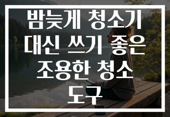 밤늦게 청소기 대신 쓰기 좋은 조용한 청소 도구