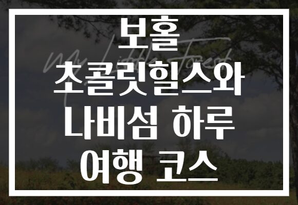 보홀 초콜릿힐스와 나비섬 하루 여행 코스