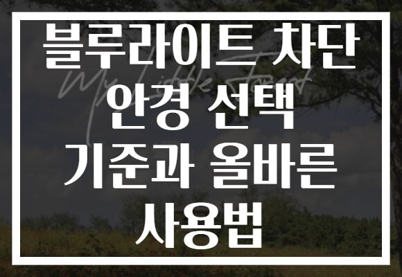 블루라이트 차단 안경 선택 기준과 올바른 사용법