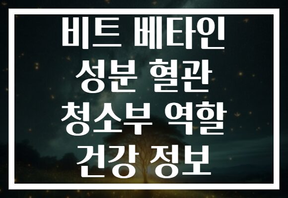 비트 베타인 성분 혈관 청소부 역할 건강 정보 비트 베타인 성분 혈관 청소부 역할 건강 정보