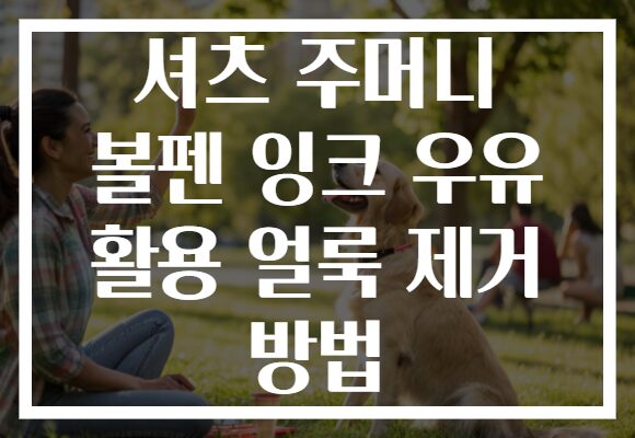 셔츠 주머니 볼펜 잉크 우유 활용 얼룩 제거 방법
