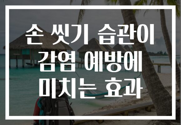 손 씻기 습관이 감염 예방에 미치는 효과 손 씻기 습관이 감염 예방에 미치는 효과