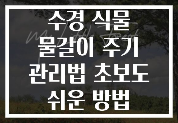 수경 식물 물갈이 주기 관리법 초보도 쉬운 방법