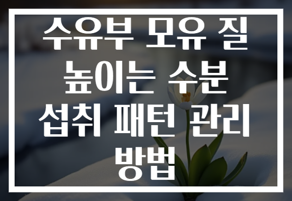 수유부 모유 질 높이는 수분 섭취 패턴 관리 방법