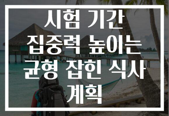 시험 기간 집중력 높이는 균형 잡힌 식사 계획