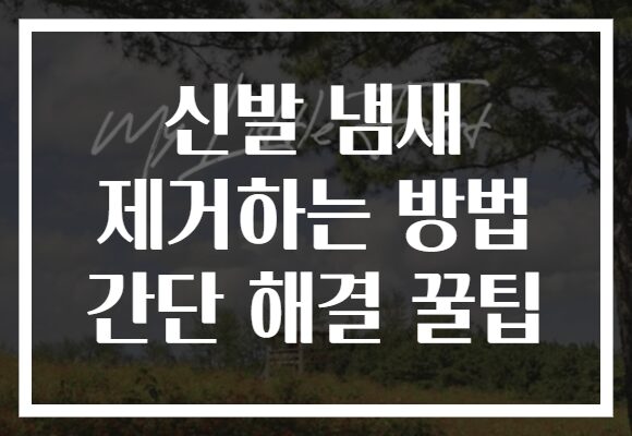 신발 냄새 제거하는 방법 간단 해결 꿀팁 신발 냄새 제거하는 방법 간단 해결 꿀팁