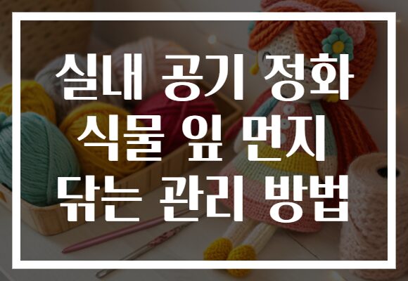 실내 공기 정화 식물 잎 먼지 닦는 관리 방법