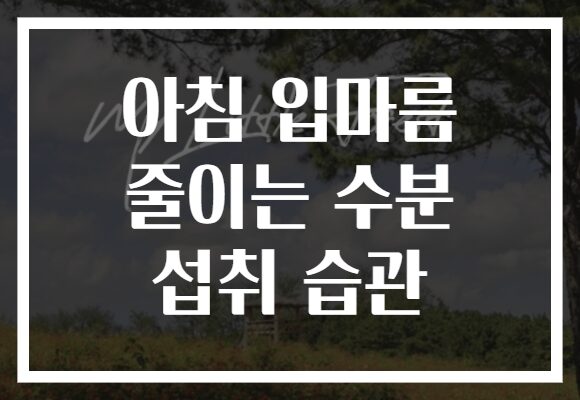 아침 입마름 줄이는 수분 섭취 습관