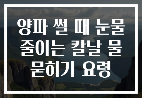 양파 썰 때 눈물 줄이는 칼날 물 묻히기 요령