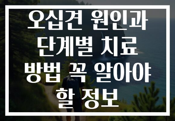 오십견 원인과 단계별 치료 방법 꼭 알아야 할 정보 오십견 원인과 단계별 치료 방법 꼭 알아야 할 정보