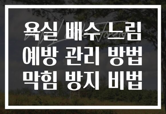 욕실 배수 느림 예방 관리 방법 막힘 방지 비법 욕실 배수 느림 예방 관리 방법 막힘 방지 비법