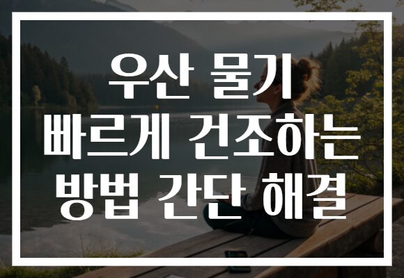 우산 물기 빠르게 건조하는 방법 간단 해결 우산 물기 빠르게 건조하는 방법 간단 해결