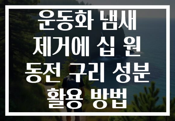 운동화 냄새 제거에 십 원 동전 구리 성분 활용 방법