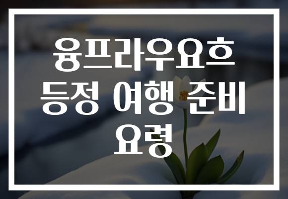 융프라우요흐 등정 여행 준비 요령