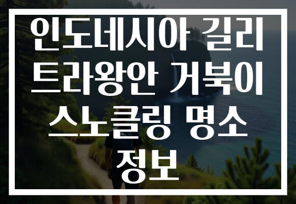 인도네시아 길리 트라왕안 거북이 스노클링 명소 정보 인도네시아 길리 트라왕안 거북이 스노클링 명소 정보