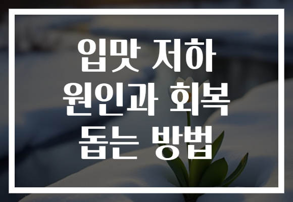 입맛 저하 원인과 회복 돕는 방법