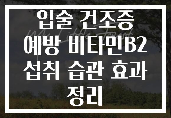 입술 건조증 예방 비타민B2 섭취 습관 효과 정리