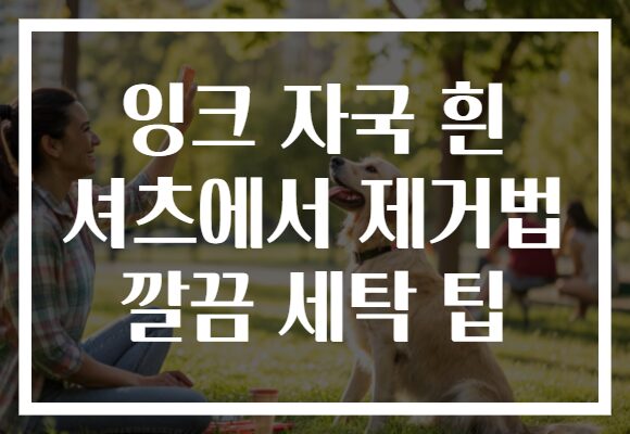 잉크 자국 흰 셔츠에서 제거법 깔끔 세탁 팁