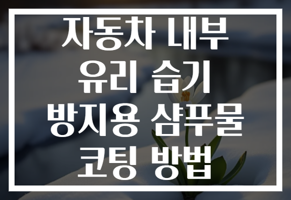 자동차 내부 유리 습기 방지용 샴푸물 코팅 방법 자동차 내부 유리 습기 방지용 샴푸물 코팅 방법