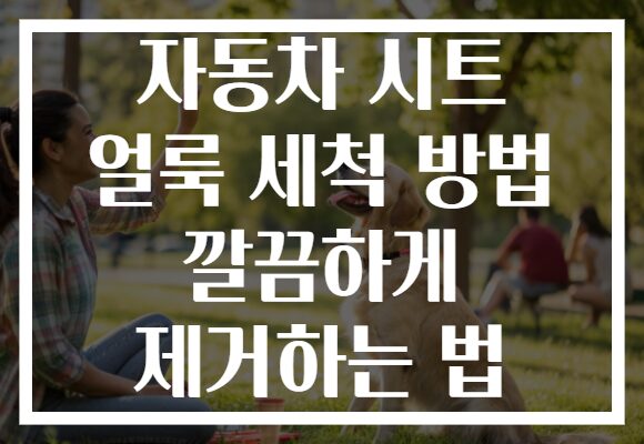 자동차 시트 얼룩 세척 방법 깔끔하게 제거하는 법 자동차 시트 얼룩 세척 방법 깔끔하게 제거하는 법