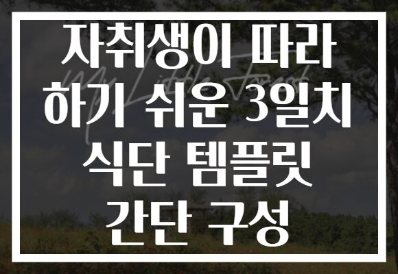 자취생이 따라 하기 쉬운 3일치 식단 템플릿 간단 구성 자취생이 따라 하기 쉬운 3일치 식단 템플릿 간단 구성