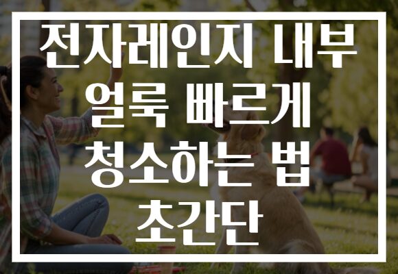 전자레인지 내부 얼룩 빠르게 청소하는 법 초간단