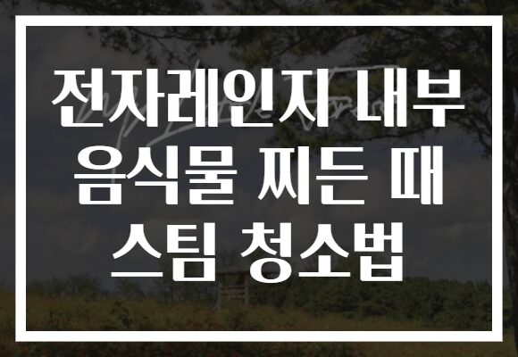 전자레인지 내부 음식물 찌든 때 스팀 청소법 전자레인지 내부 음식물 찌든 때 스팀 청소법