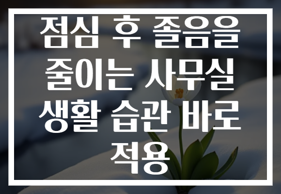 점심 후 졸음을 줄이는 사무실 생활 습관 바로 적용