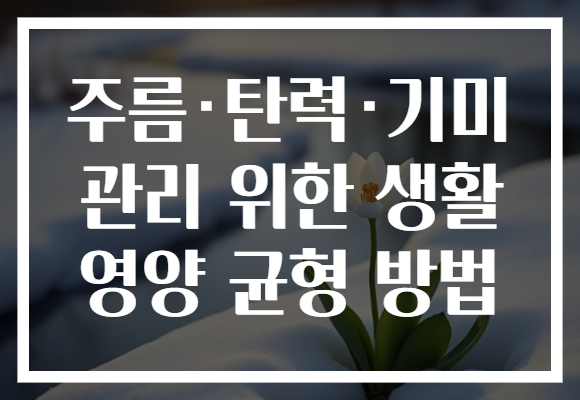 주름·탄력·기미 관리 위한 생활 영양 균형 방법 주름·탄력·기미 관리 위한 생활 영양 균형 방법