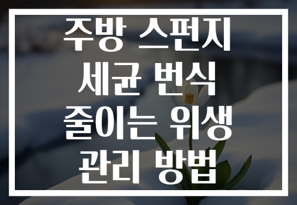 주방 스펀지 세균 번식 줄이는 위생 관리 방법 주방 스펀지 세균 번식 줄이는 위생 관리 방법