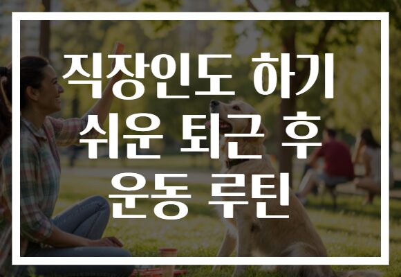 직장인도 하기 쉬운 퇴근 후 운동 루틴 직장인도 하기 쉬운 퇴근 후 운동 루틴